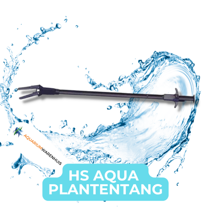 HS AQUA PLANTENTANG