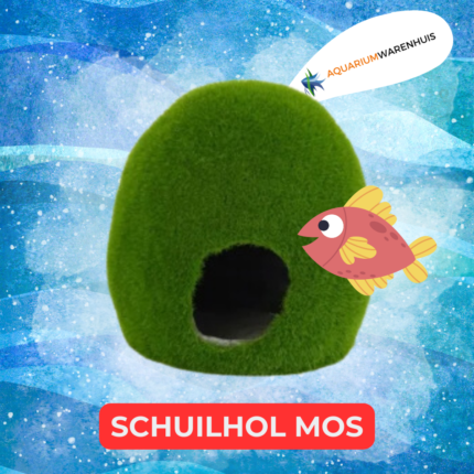 SCHUILHOL MOS