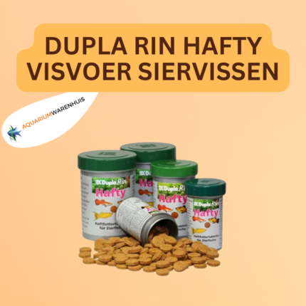 DUPLA RIN HAFTY VISVOER SIERVISSEN