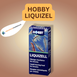 HOBBY LIQUIZEL