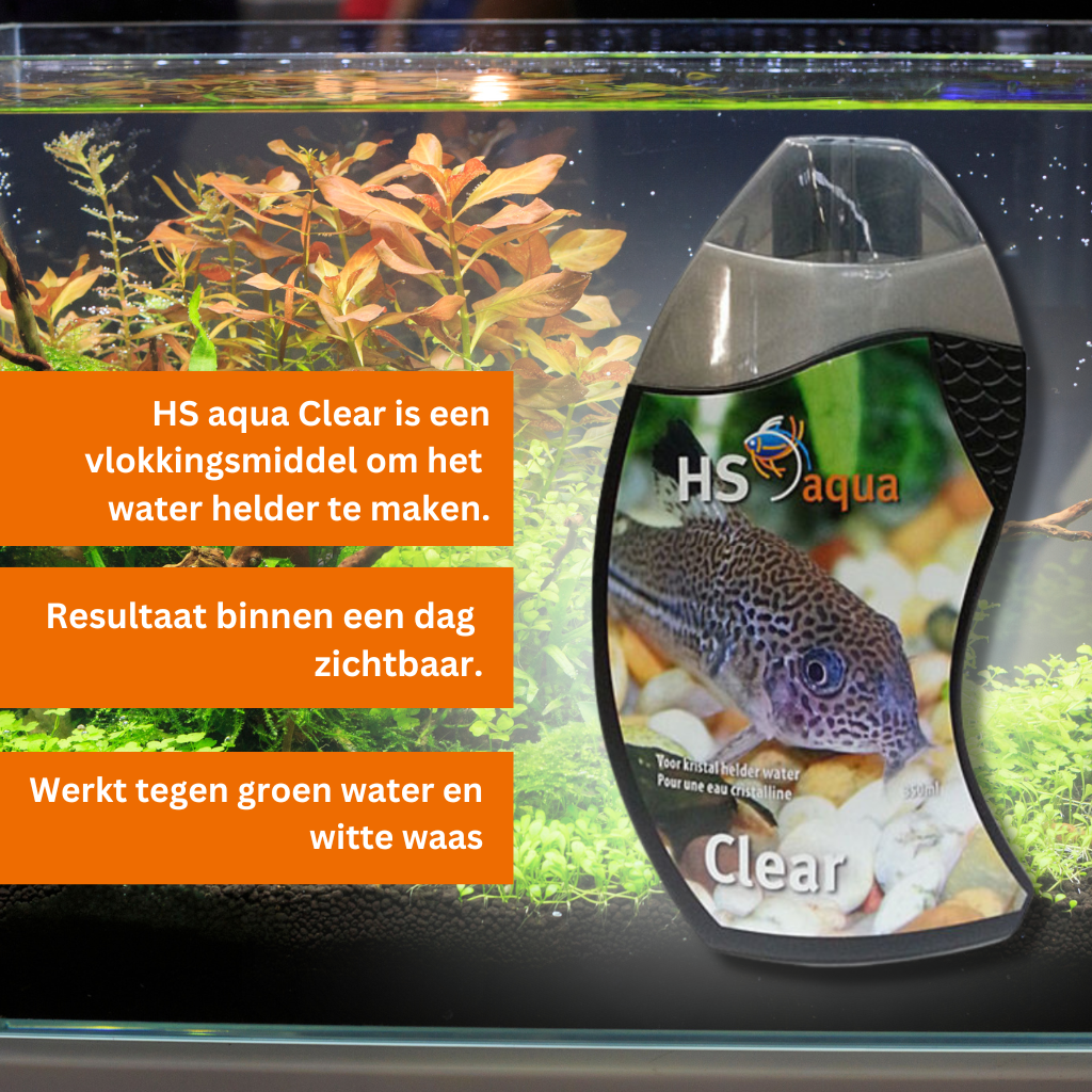 Creatie Buitenboordmotor desinfecteren HS AQUA CLEAR VOOR HELDER WATER | Aquariumwarenhuis