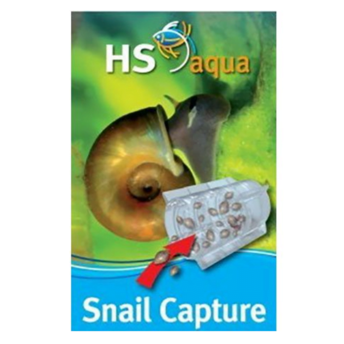hs aqua snail capture