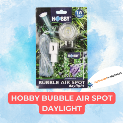 hobby bubble air spot daylight