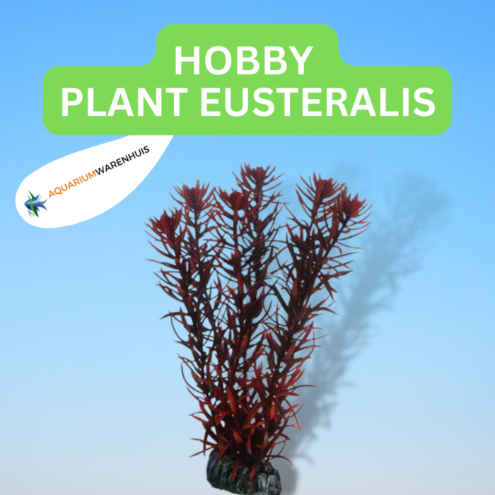 HOBBY PLANT EUSTERALIS