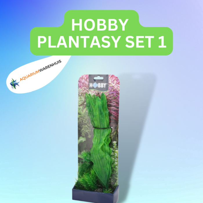 HOBBY PLANTASY SET 1