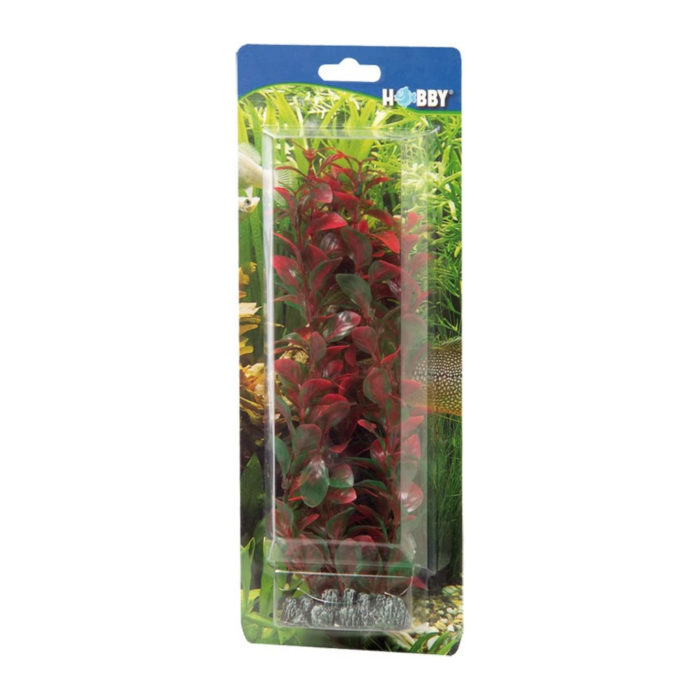 Hobby Ludwigia 25cm box