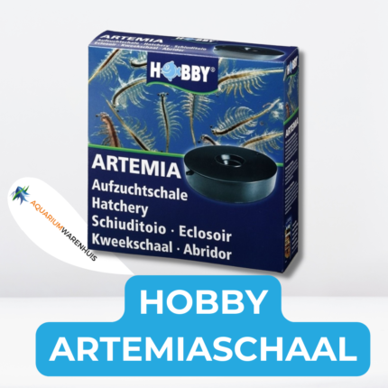 HOBBY ARTEMIASCHAAL