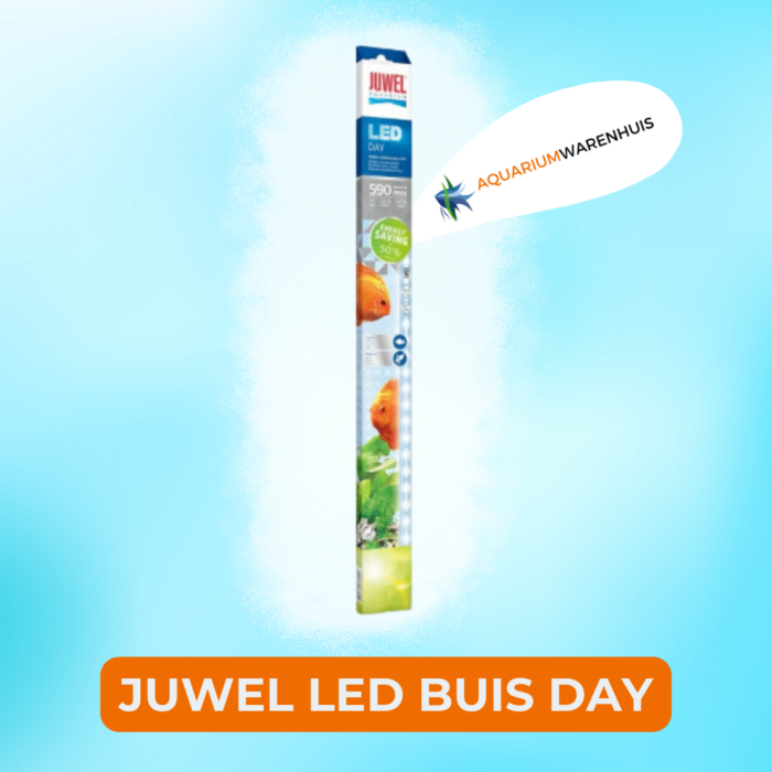 JUWEL LED BUIS day