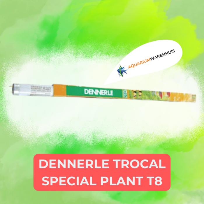 DENNERLE TROCAL SPECIAL PLANT T8