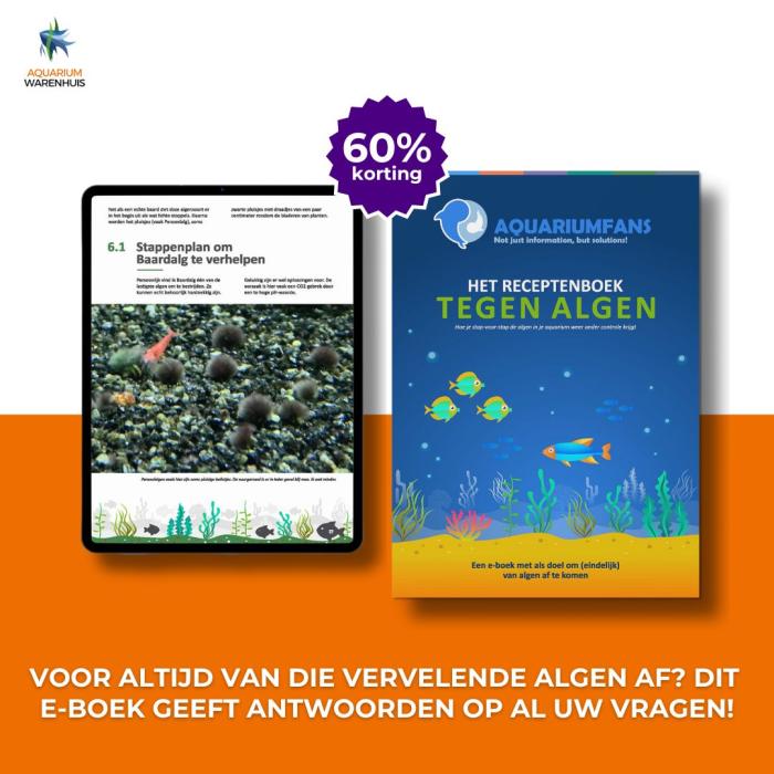 Voor altijd van die vervelende algen af. dit e-boek geeft antwoorden op al uw vragen!