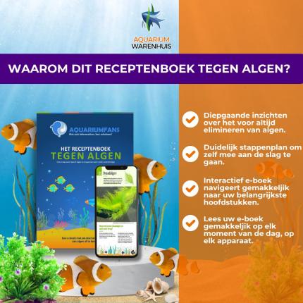 Waarom dit Receptenboek tegen Algen