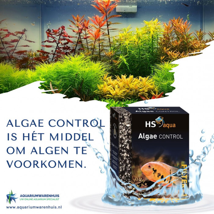 Algae control voorkomt algen
