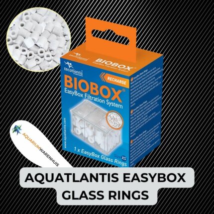 AQUATLANTIS EASYBOX GLASS RINGS