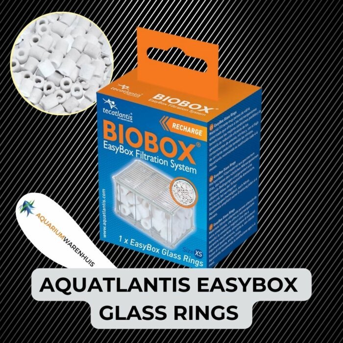 AQUATLANTIS EASYBOX GLASS RINGS