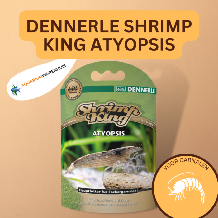 DENNERLE SHRIMP KING ATYOPSIS