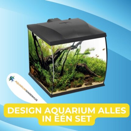 Design Aquarium alles in één set