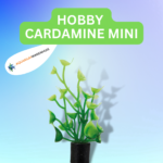 HOBBY PLANT CARDAMINE MINI