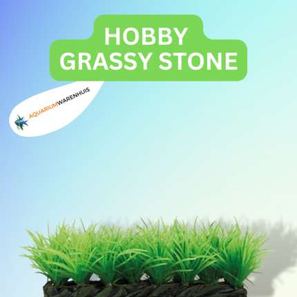 HOBBY PLANT GRASSY STONE