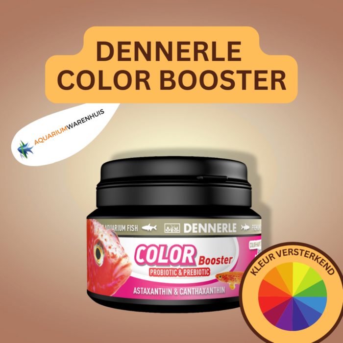 DENNERLE COLOR BOOSTER