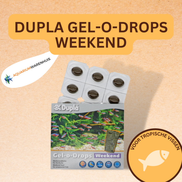 DUPLA GEL-O-DROPS WEEKEND