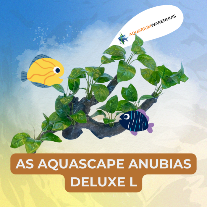 AS Aquascape Anubias Deluxe L