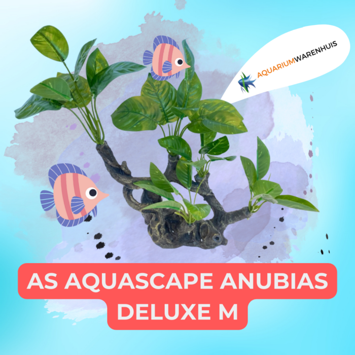 AS Aquascape Anubias Deluxe M