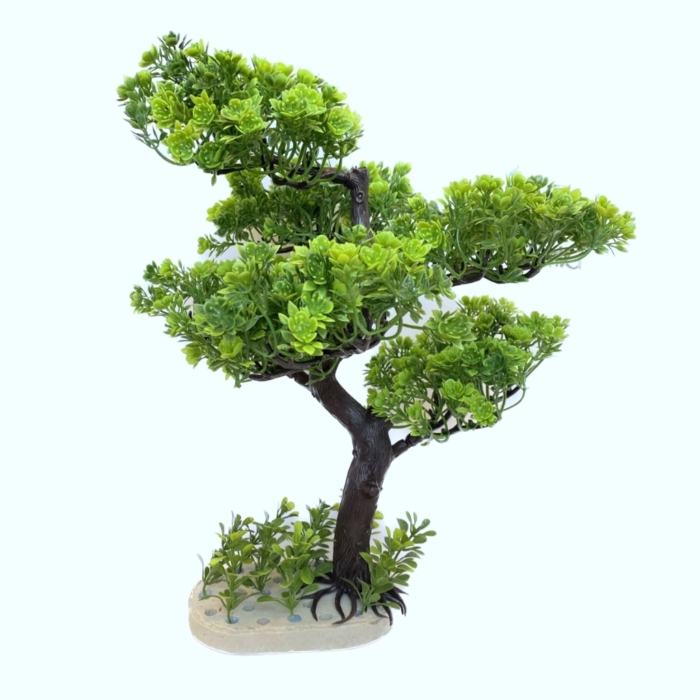 Aquaplant Tree L Deluxe 2