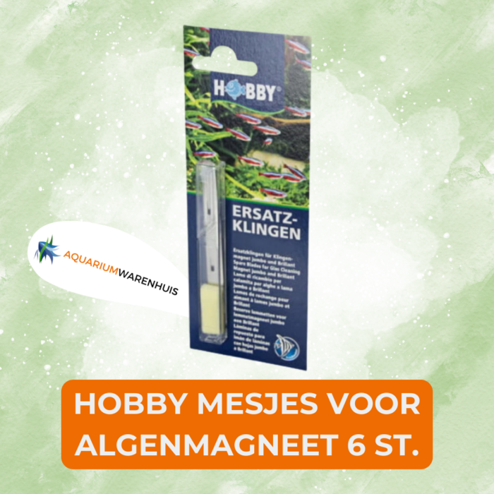 HOBBY MESJES VOOR ALGENMAGNEET 6 ST