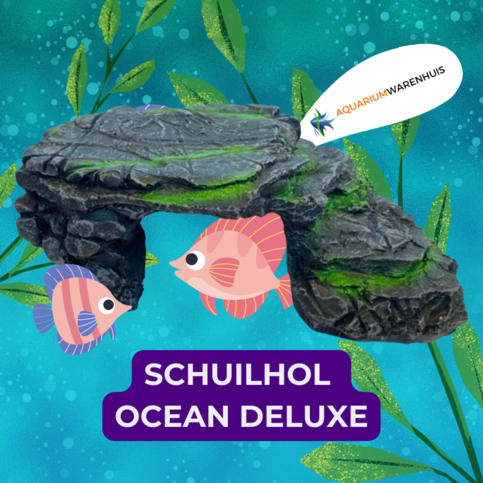 schuilhol ocean deluxe