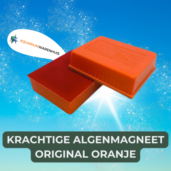 krachtige algenmagneet original ORANJE