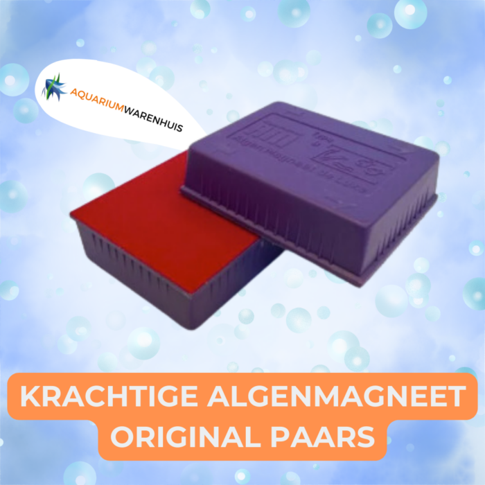 krachtige algenmagneet original paars