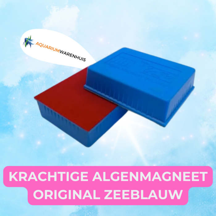 krachtige algenmagneet original zeeblauw