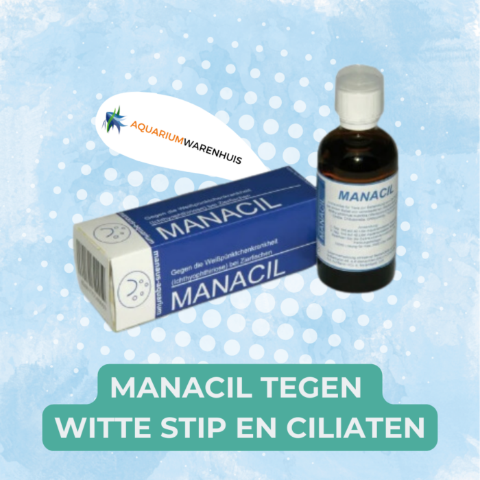 MANACIL TEGEN WITTE STIP EN CILIATEN