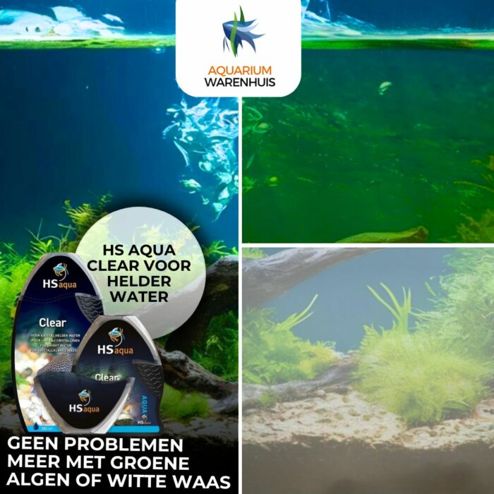 geen problemen meer met groene algen of witte waas
