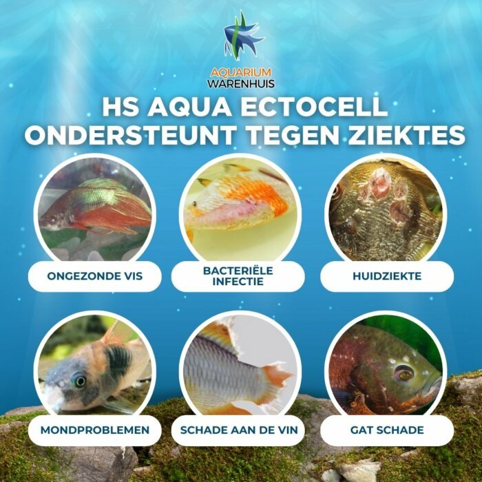 HS Aqua Ectocell Ondersteunt Tegen Ziektes Effectieve Bescherming voor Aquariumvissen