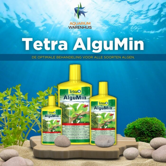 Tetra algumin tegen algen in het aquarium