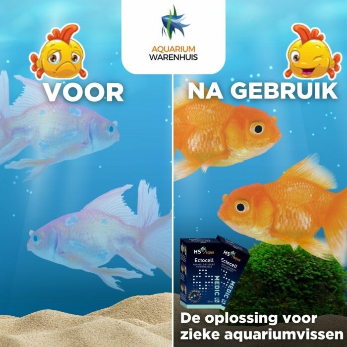 Voor en Na Gebruik De Oplossing voor Zieke Aquariumvissen