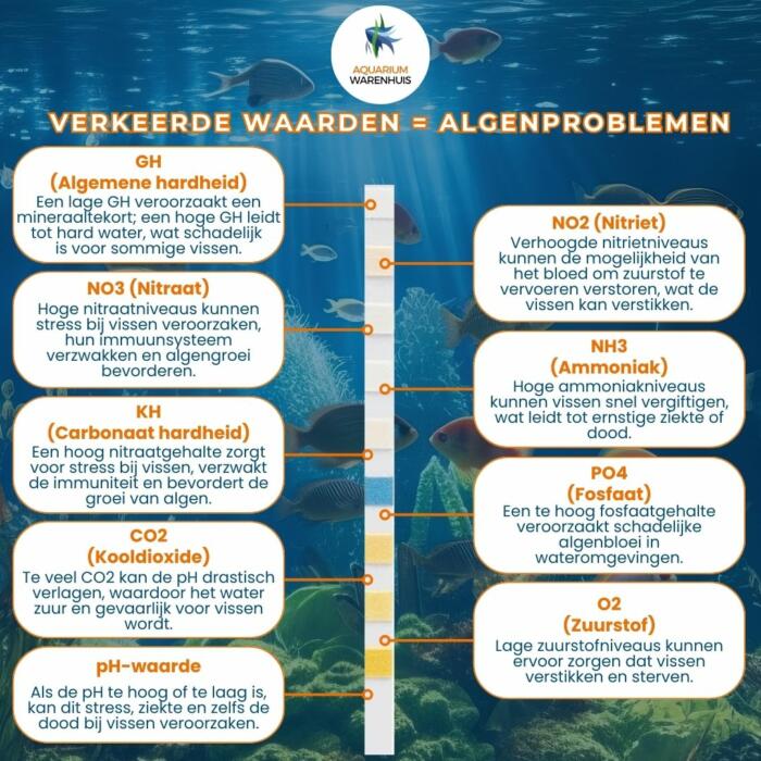 Algen probleem door verkeerde waterwaarden