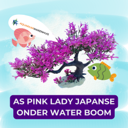 AS Pink Lady Japanse Onderwater Boom