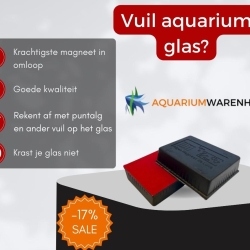 Zwarte magneet aquarium glas